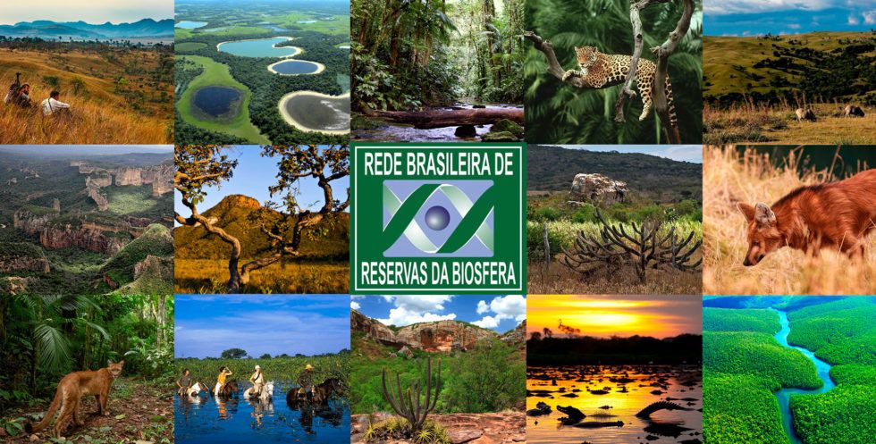 Rbrb Rede Brasileira De Reservas Da Biosfera 5638