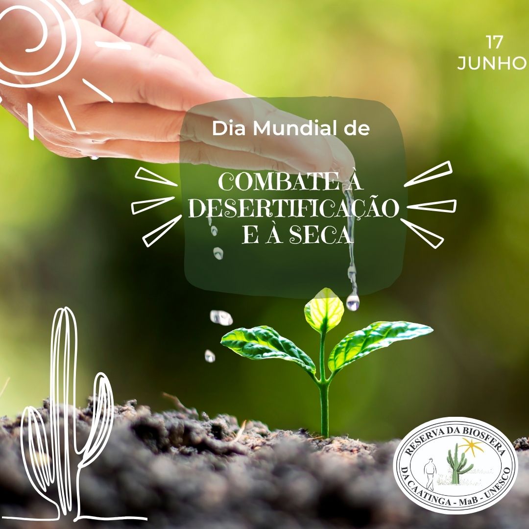 Desertificação Rbca