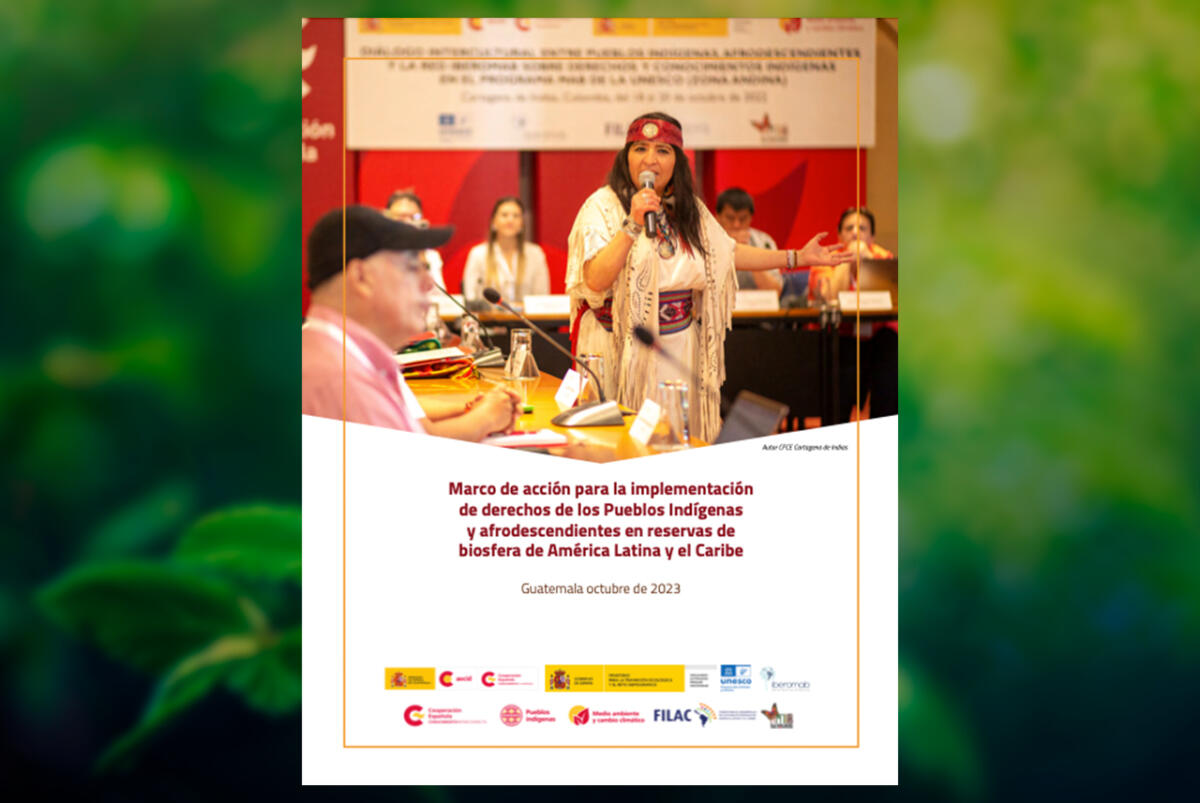 Marco de acción para la implemen